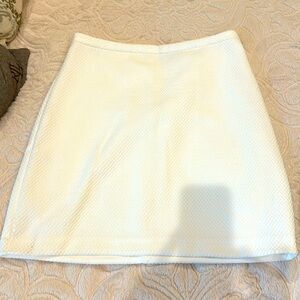 Ann Taylor business skirt